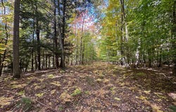 2330 N Peterson Road, Ludington, MI 49431