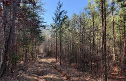 1 MAPLE BRIDGE RD, DILLWYN, VA 23936