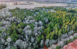 County Road 646, Coffee Springs, AL 36318
