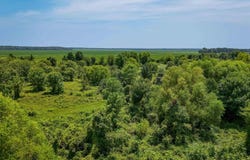 Highway 163, Cherry Valley, AR 72324