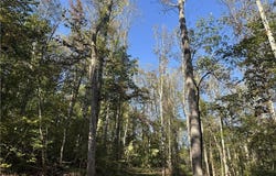 Quaker Road, Mount Airy, NC 27030