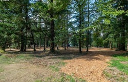 Valley View Dr, Albany, OR 97321