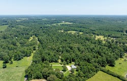 Downsville Rd, Downsville, LA 71234
