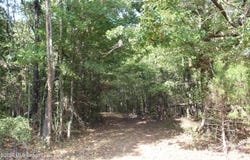 11 Star Landing Road, Nesbit, MS 38651