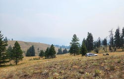ROSE VALLEY Rd, REPUBLIC, WA 99166
