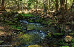 NNA Garfield Bay Rd, Sagle, ID 83860