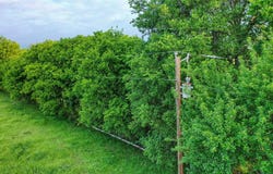 FM 1752 Road, Whitewright, TX 75491