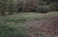 4110 Libby Road, Heber Springs, AR 72543