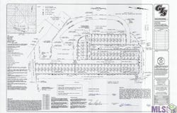 12830 St Croix Ct, Maurepas, LA 70449