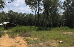 Grimes Road, Ozark, AL 36360