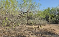 7622 N Los Charcos Drive, Mission, TX 78572
