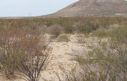 TR4528 Terlingua Ranch, Terlingua, TX 79852