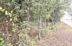Brady Mountain CUTOFF, Royal, AR 71968