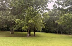 BEECHWOOD LOOP, Urania, LA 71480