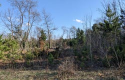 Bergstrom Drive, Kaleva, MI 49645