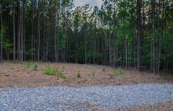 MOUNTAIN CUT RD lot: A, APPOMATTOX, VA 24522