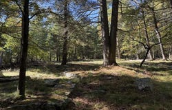 Osland Drive, High Falls, NY 12440