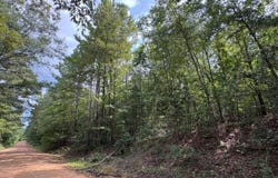 5530 Pine Springs Road, Sulligent, AL 35586