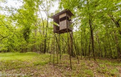 Tallaha Road, Charleston, MS 38921