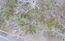 100 PLEASANT VALLEY DRIVE lot: 1, BIRMINGHAM, AL 35217