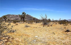Philippi Lane, Landers, CA 92285