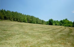 4 Morrison Road, Morganton, NC 28655