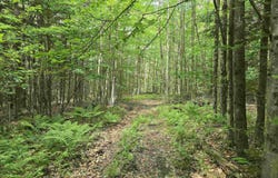 Farrar Road, Chester, VT 05143
