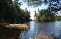 10 Trillium Way, Liberty, ME 04949