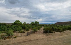 W Cluff Ranch Rd., Pima, AZ 85543