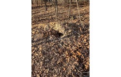 000 Moonshine Pass, Salem, MO 65560