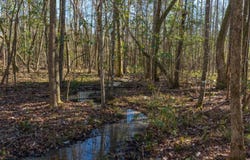 Addie Dairy Road, Preston, GA 31824
