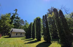 109 Seaton Drive, Mio, MI 48647