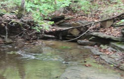E Mountain Road, Bee Branch, AR 72013