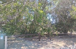 8417 Wildmint Dr, Lake Isabella, CA 93240