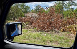 Tbd NE 14TH PLACE, WILLISTON, FL 32696