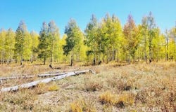 4484 S 2275 E, Cedar City, UT 84720