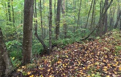 Chandas Way, Laurens, NY 13796