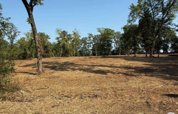 Hwy 67, Redwater, TX 75573