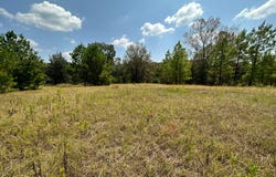 Ford Road, Many, LA 71449