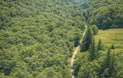 2 Indian Creek Cutoff Road, Duncanville, AL 35456