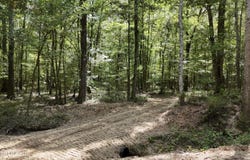 Johns Shiloh Road, Brandon, MS 39042