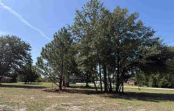 Isaiah Drive lot: 1, Dillon, SC 29536