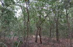 Wellington Place, Chipley, FL 32428