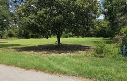 12456 N Pointe Road, Winona, TX 75792