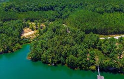 SIPSEY OVERLOOK DRIVE lot: 90, Double Springs, AL 35553