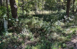 POLP Centerline, Newaygo, MI 49337