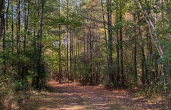 Hwy 14, Selma, AL 36701