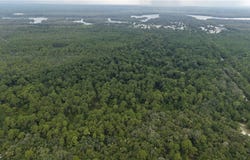 162 Carriage Place, Satsuma, FL 32189