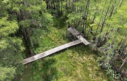 7737 Deepwood Trail, Tallahassee, FL 32317