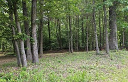 See View Lane lot: 58, Hertford, NC 27944